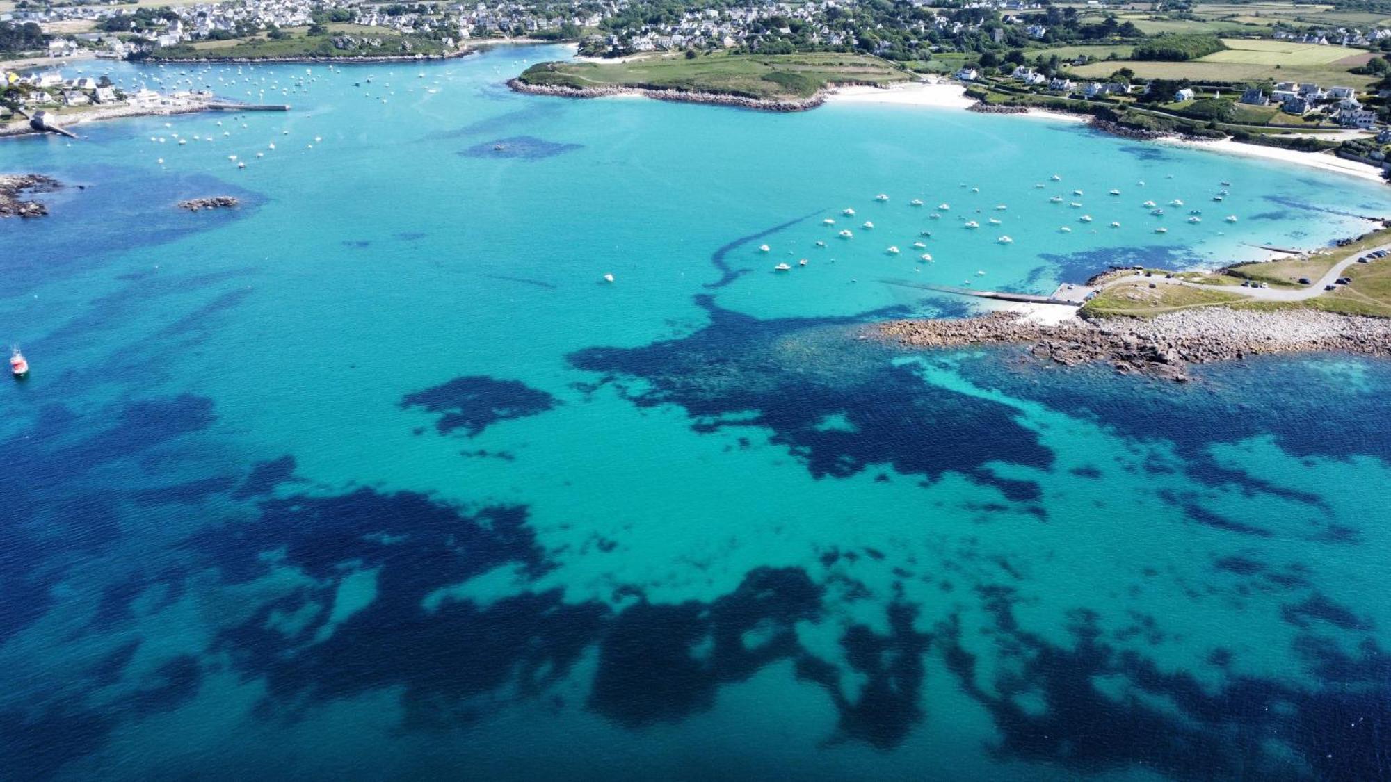 Ty Mor Bras - Maison Familiale A 2 Pas De La Plage Portsall Eksteriør bilde